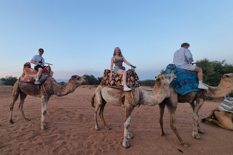 Agadir: Sunset Quad Bike Safari with Camel Ride & Tea