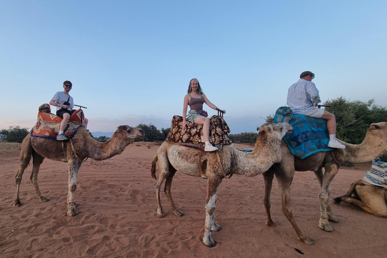 Agadir: Sunset Quad Bike Safari with Camel Ride & Tea