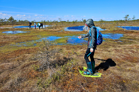 Ķemeri Bogs Adventure: Explore Wetlands In Bog Shoes