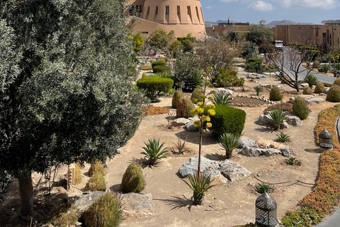 Trasferimento privato: Muscat o aeroporto a Jebel Akhdar/Shams