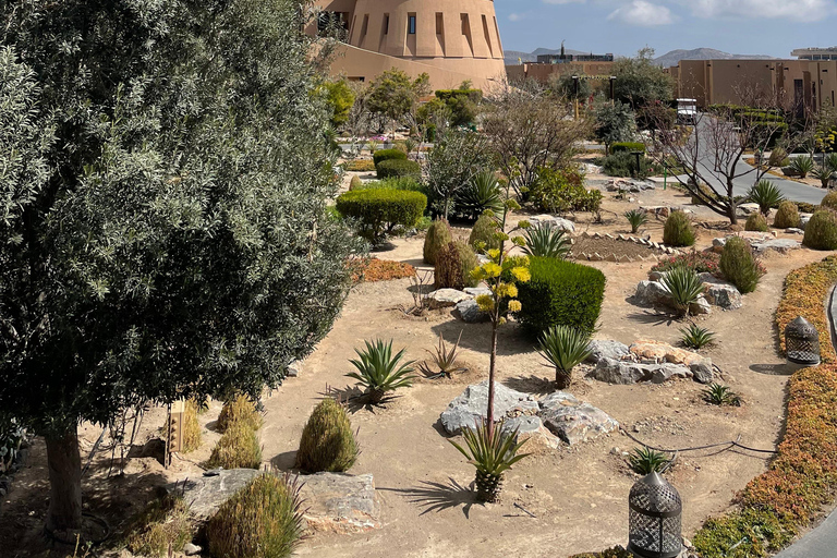 Privé transfer: Muscat of luchthaven naar Jebel Akhdar/Shams