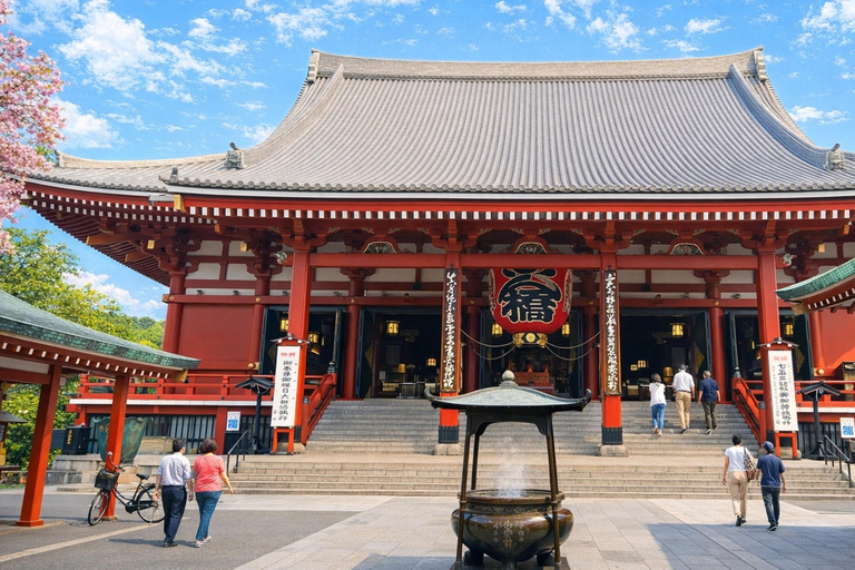 Tokyo Cherry Blossom Day Tour: Asakusa,Chidorigafuchi & Ueno 【Standard】English Guided Sightseeing Tour