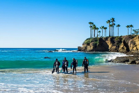 Discover Scuba Dive at Australia's most Iconic Beach