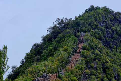 Madeira: PR17 Bica da Cana Encumeada Guided Hike with Pickup Madeira: Bica da Cana to Encumeada Guided Hike with Pickup
