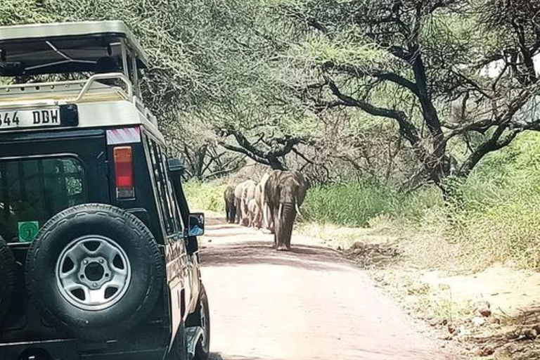 Arusha: Safari de dia inteiro no Parque Nacional do Lago Manyara
