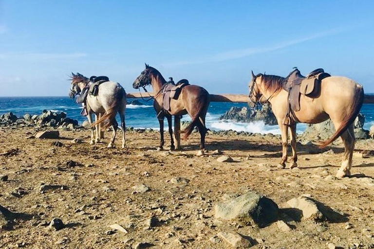 Aruba: Rancho Loco Natural Pool Horseback Tour thru Arikok Aruba: Rancho Loco Natural Pool Excursion