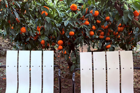 Jeju Trendy Café Tour and When Life Gives You Tangerines