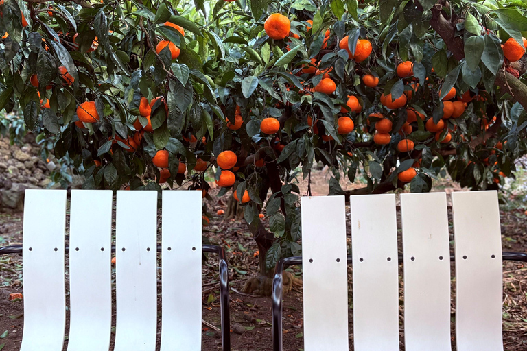 Jeju Trendy Café Tour and When Life Gives You Tangerines