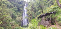 Cascadas de Materuni, Coffee Tour y Chemka Hot Spring Tour - Housity