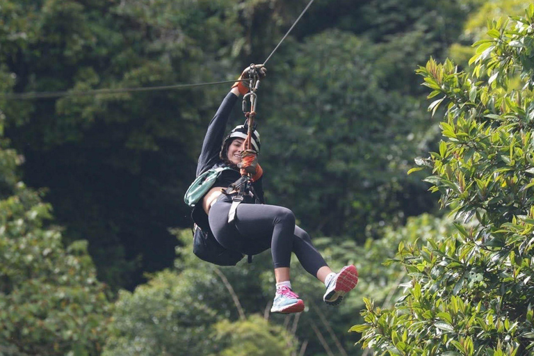 Punta Cana: ATV Tour, Cenote Swim, and Dinner