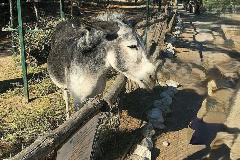 Rhodes: Farm and Aquarium Tour with Entry Tickets included
