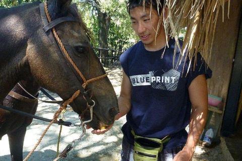 Horseback Riding & Puerto Plata City Tour Adventure