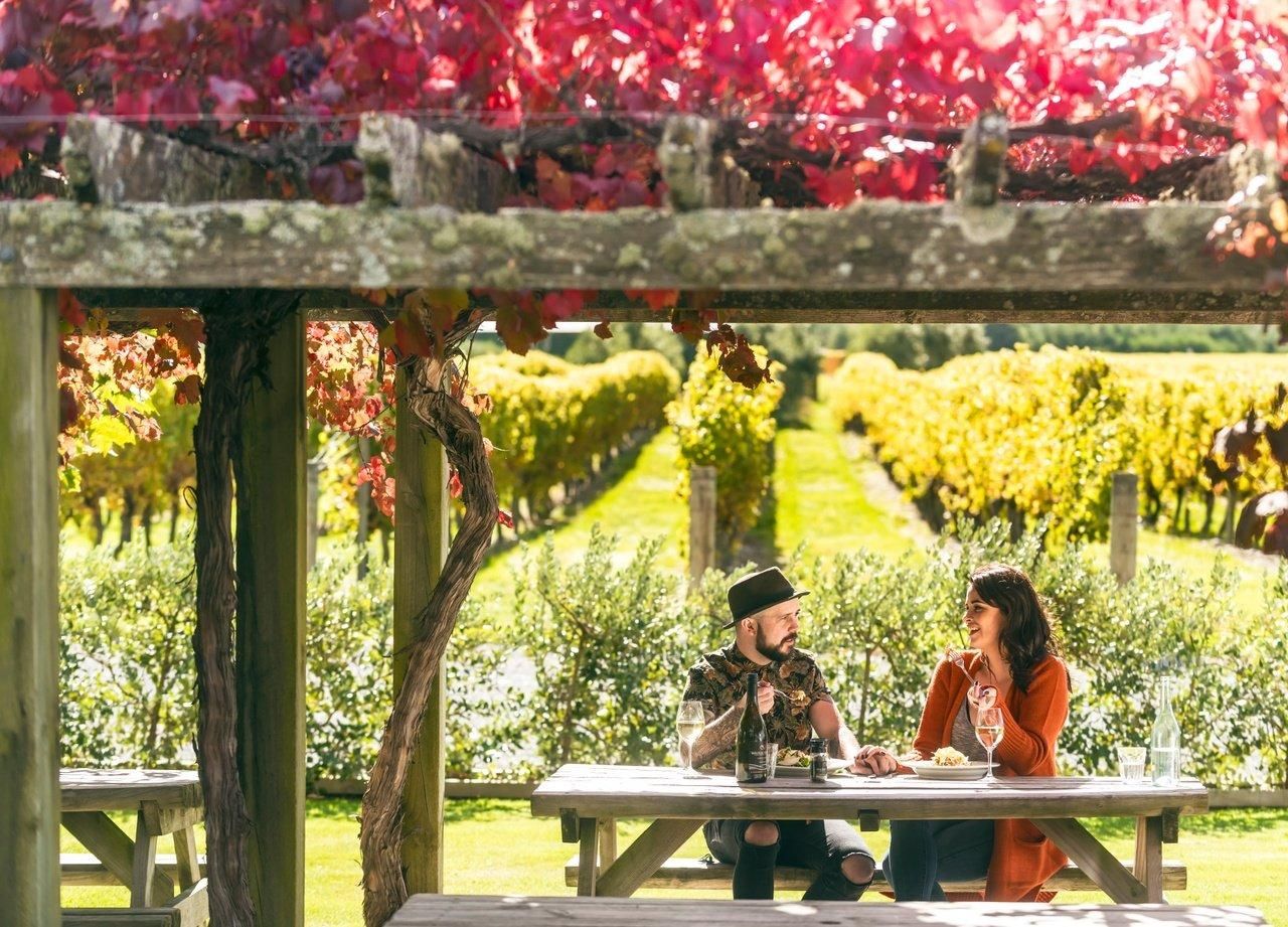 Nelson: Marlborough-Weintour mit Verkostungen und Mittagessen