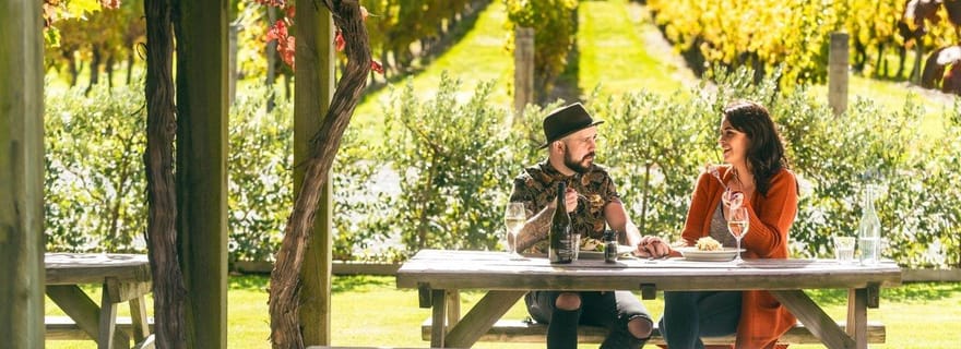 Nelson : visite des vignobles de Marlborough avec dégustations et déjeuner