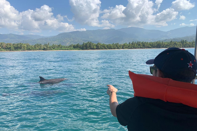 Marino Ballena National Park: Watching Whales and Dolphins