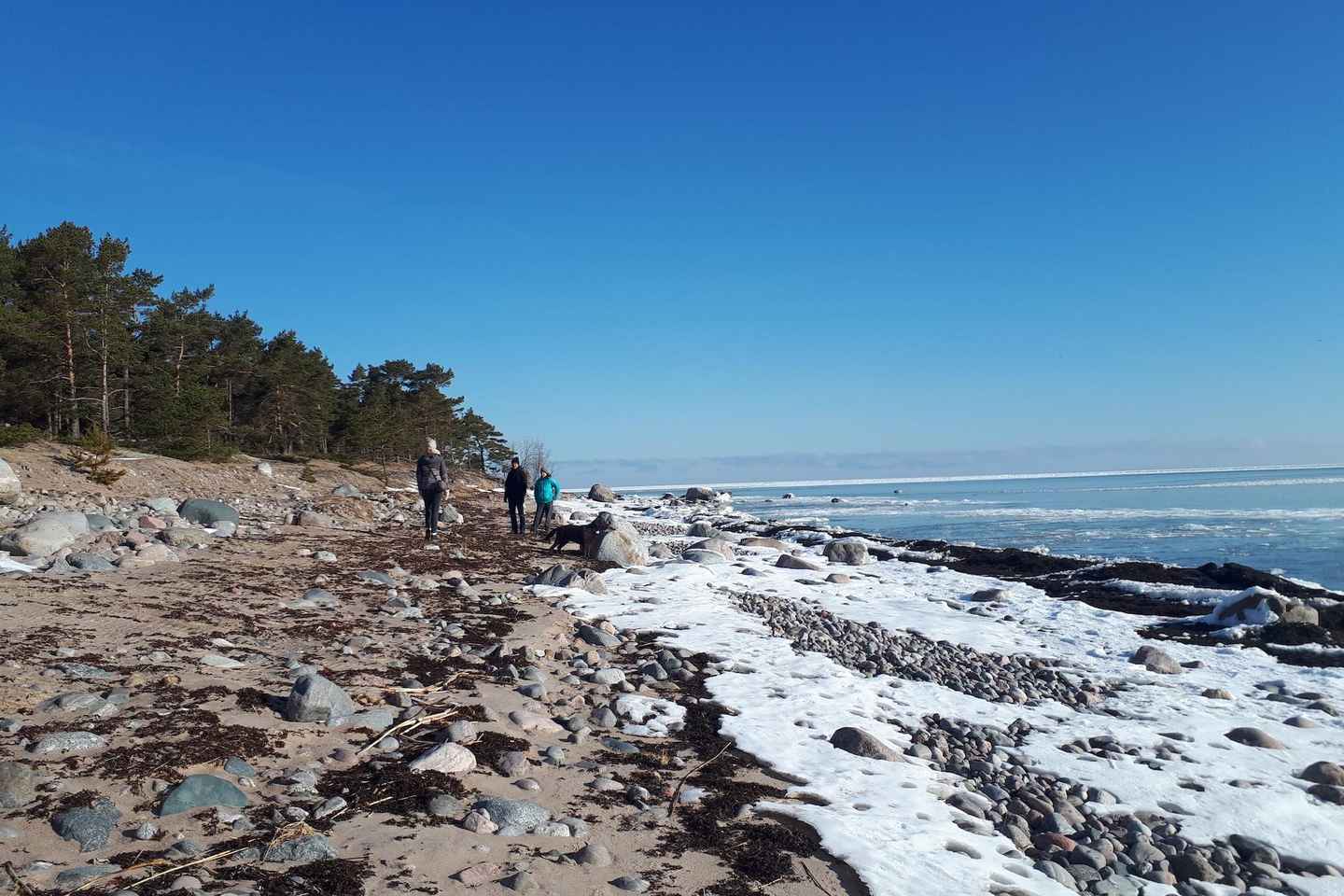 From Tallinn: Prangli Island Hiking and Sauna Tour