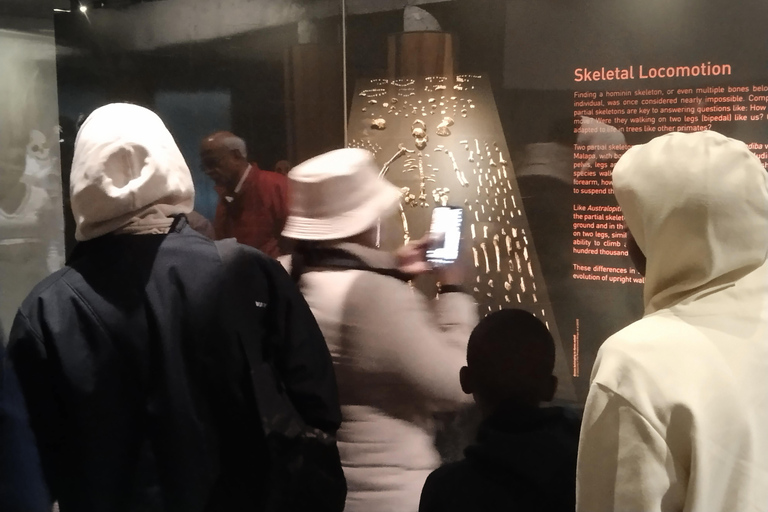 Cradle of humankind tour departing form Johannesburg