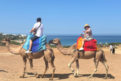 Luxury Full Day Trip To Tangier From Tarifa All inclusive