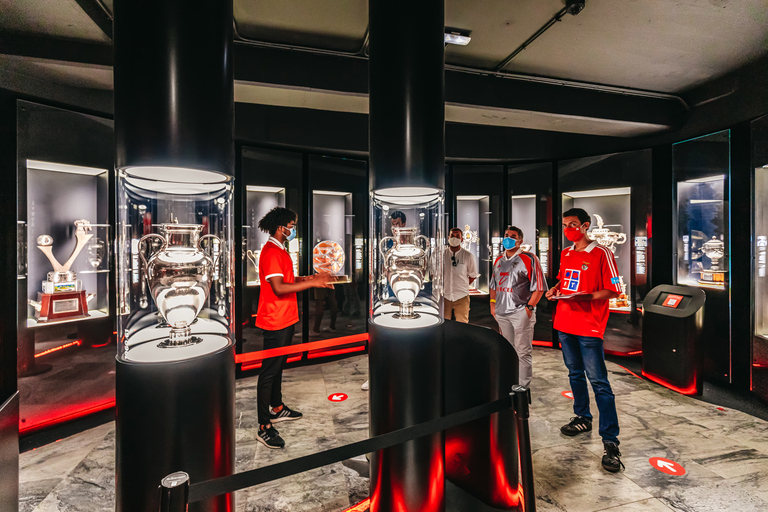 Lisbonne : visite du stade de Luz et du musée BenficaBillet standard