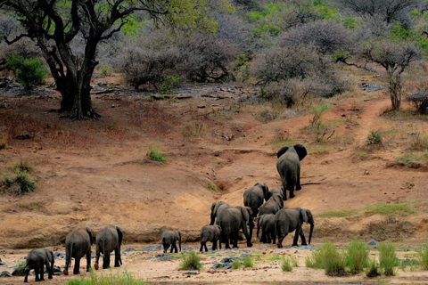 Kenya: Safari di medio raggio di 8 giorni - All Inclusive