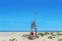 От Фаро, Ria Formosa Hop-on Hop-off Island Cruise - Housity