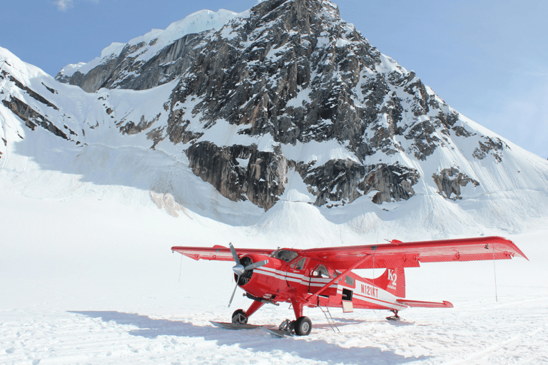 Best 8-Day Lemosho Route Kilimanjaro Budget Trek Tour