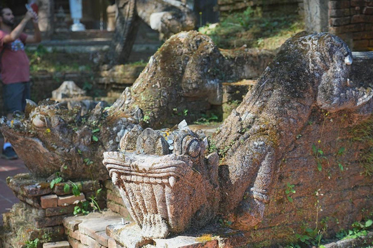 Temple de Doi Suthep, ferme d&#039;orchidées et cascade de Sticky avec déjeuner