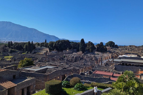 Pompeii Express: High-Speed Train from Rome