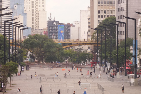 São Paulo Historical City Highlights - Half-day Walking Tour