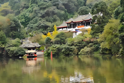 Dujiangyan: Mount Qingcheng Ticket