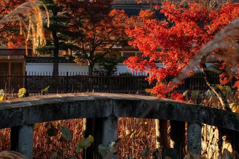 A Thousand Years in One Day: Kyoto & Nara Panoramic Tour Osaka Station