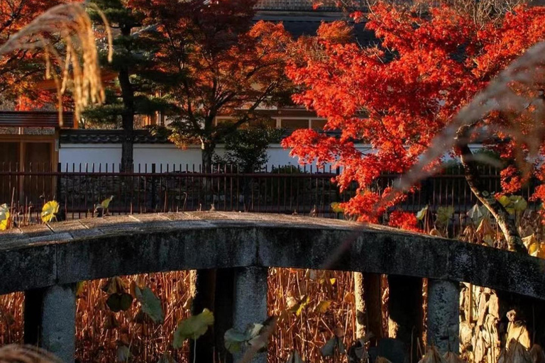 A Thousand Years in One Day: Kyoto & Nara Panoramic Tour Osaka Station
