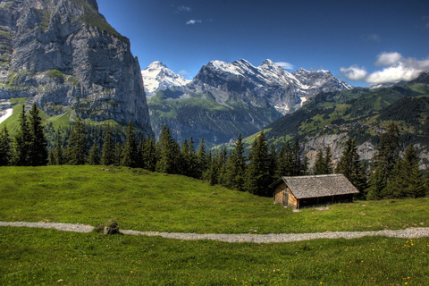 Privat tur till Interlaken från ZürichTransport, Förarguide, Jungfrau