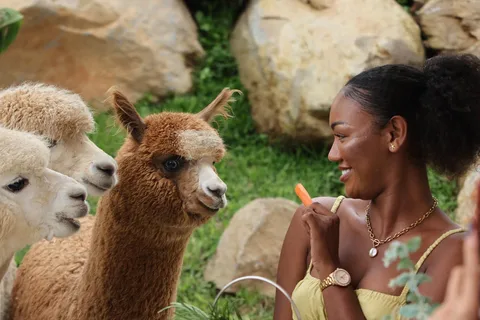 Bali : Expérience à la ferme avec billet d'entrée et options