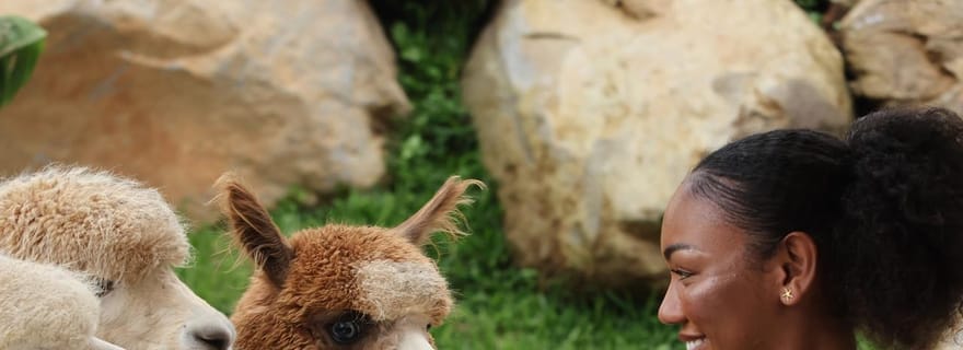 Bali : Expérience à la ferme avec billet d'entrée et options