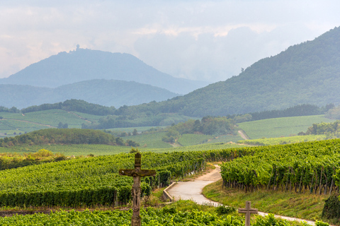 Depuis Colmar : visite des 4 merveilles d'Alsace