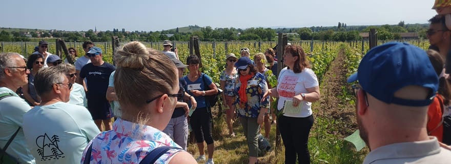 Osez l'Alsace viticole au féminin