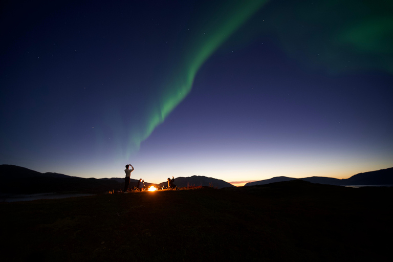 Tromsø: Northern Lights Tour – Unlimited Chase & Free Photos 6-8 Hours, Aurora chase, Comfortable bus, Photos included