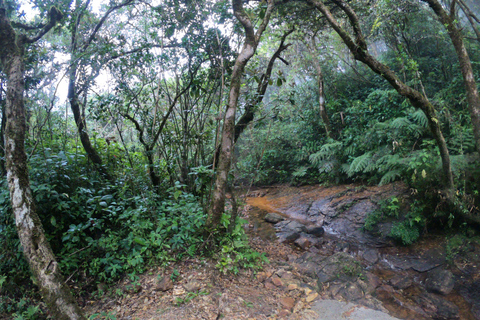 Kandy: Passeio de um dia pelas cachoeiras e vilarejo local com almoço