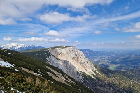 Vienna: Relaxed Alpine Experience with Guide and Transfer