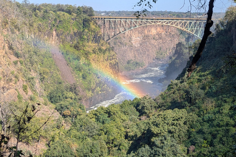 Victoria Falls: Historic Town Tour, Big Tree & Guided Walk