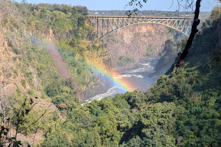 Victoria Falls: Historic Town Tour, Big Tree & Guided Walk