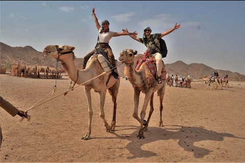 Giro in cammello con tramonto e osservazione delle stelleServizio di prelievo in hotel a hurghada