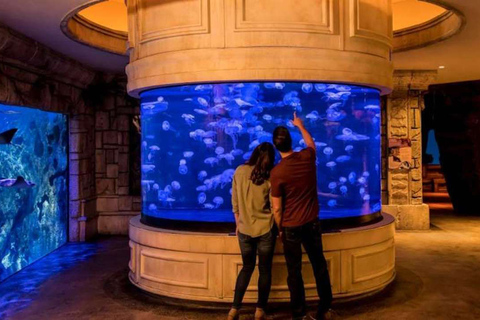 Las Vegas: billet d'entrée à l'aquarium Shark Reef et à l'expérience VRLas Vegas : Billet d'entrée pour l'aquarium Shark Reef et l'expérience VR