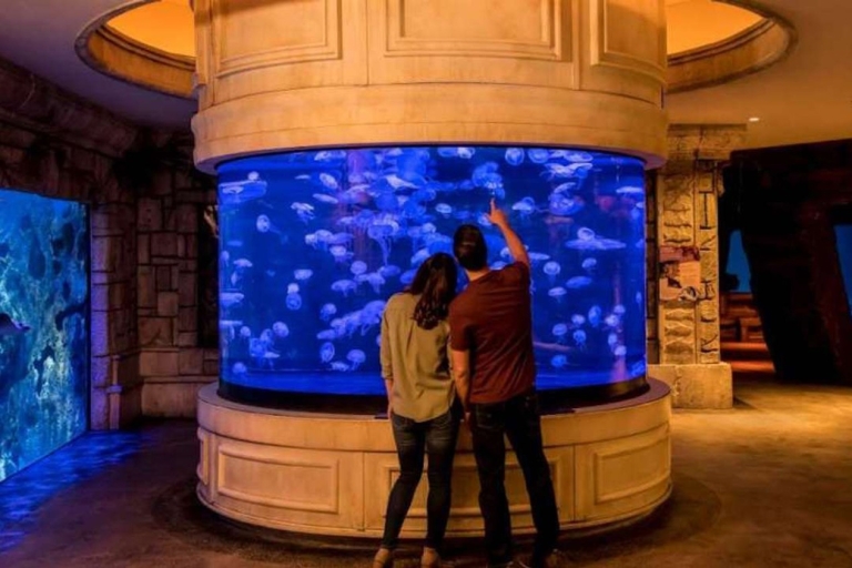 Las Vegas: billet d'entrée à l'aquarium Shark Reef et à l'expérience VRLas Vegas : Billet d'entrée pour l'aquarium Shark Reef et l'expérience VR