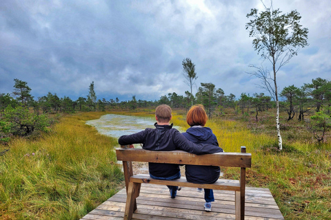 Ķemeri Great Bog With Optional Sunrise & Jūrmala Visit Ķemeri Bog Shared Small Group Tour