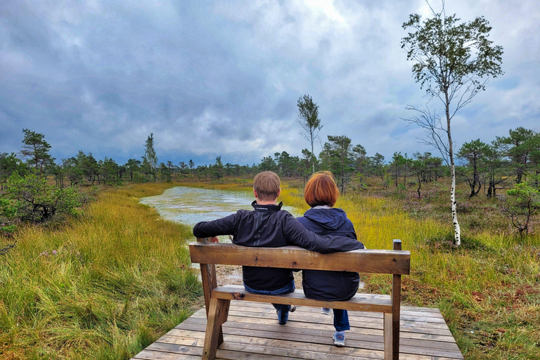 Ķemeri Great Bog With Optional Sunrise & Jūrmala Visit Ķemeri Bog Shared Small Group Tour