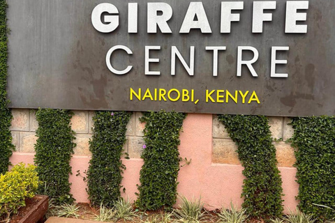 Nairobi: Giraffe Encounter With Feeding Experience