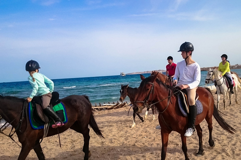 From Hurghada: Red Sea Sunrise and Desert Horseback Riding Private Group: Special Package - 1H Horse Ride