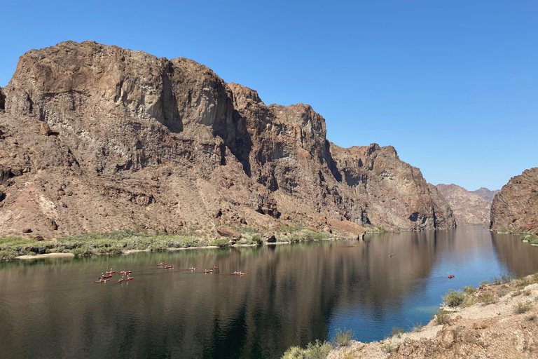 Plage de Willow : Location de paddle board